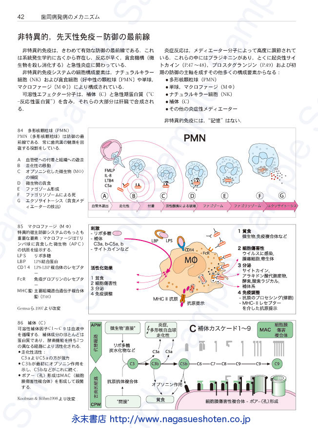 ラタイチャーク 歯周病学カラーアトラス 歯周病学カラーアトラス | ラタイチャーク, 吉江 弘正, 柳村